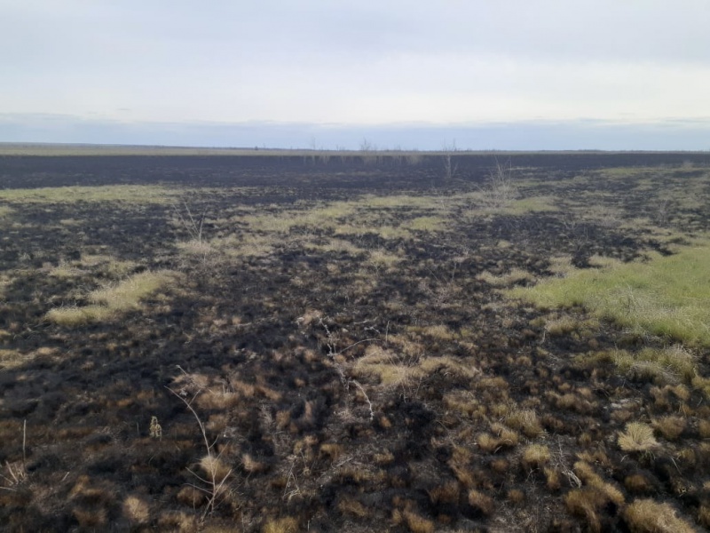 6 000 рублей штрафа заплатил виновник за выжигание сухой травы